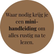 Mini-handleiding social media en content creatie voor ondernemers in Zuid-Holland